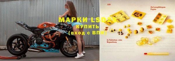 прущие грибы Абаза