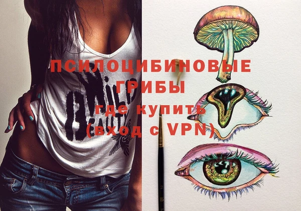 прущие грибы Абаза