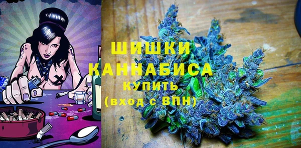 прущие грибы Абаза
