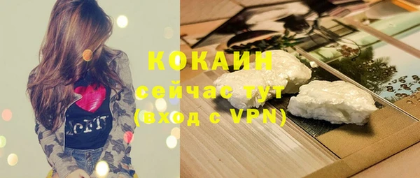 прущие грибы Абаза