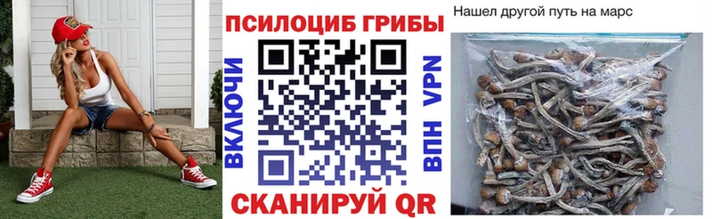 Псилоцибиновые грибы GOLDEN TEACHER  Бобров 